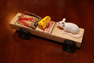 Mouse Trap