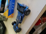 The Surfer