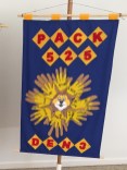Tracy Pack 525