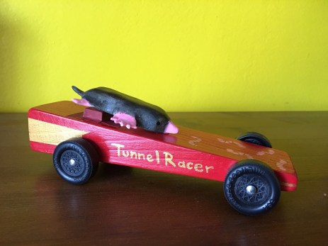 Tunnel Racer