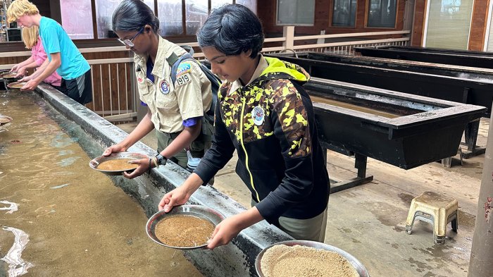 Scouts pan for gold