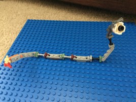 LittleManatee94