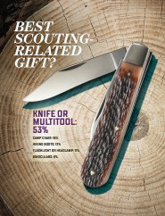 knife on a stump