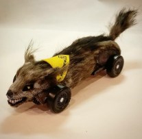 Wolfgang